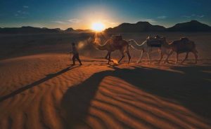 https://mkt.visitajordania.com/jordania/public/img-blog/2018/10/40358172_957745534411537_5798754845204676608_n-1-300x184.jpg