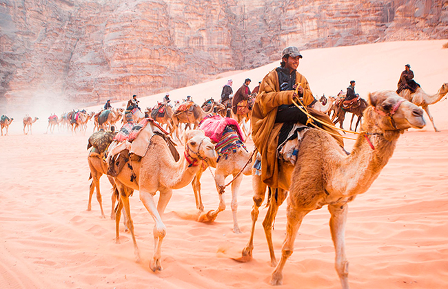 https://mkt.visitajordania.com/jordania/public/img-blog/2019/06/Camel-1.jpg