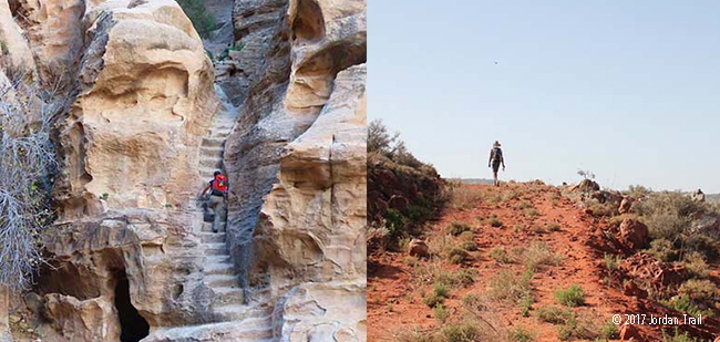 https://mkt.visitajordania.com/jordania/public/img-blog/2019/07/JORDANT_650x309.jpg