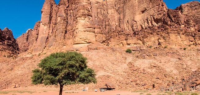 https://mkt.visitajordania.com/jordania/public/img-blog/2020/02/05-wadirum.jpg