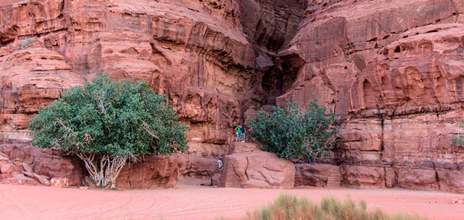 https://mkt.visitajordania.com/jordania/public/img-blog/2020/02/06-wadirum.jpg