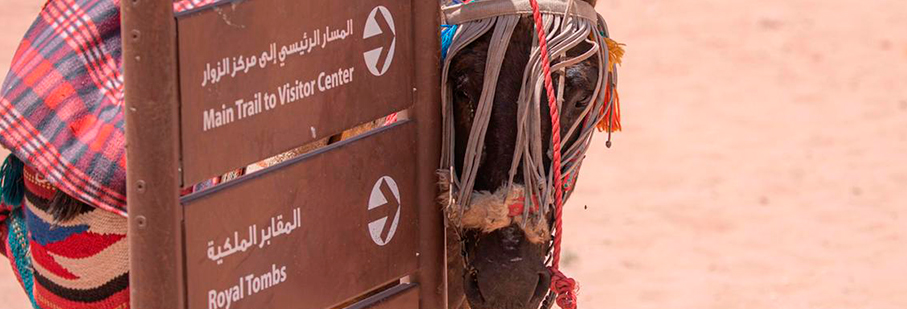 https://mkt.visitajordania.com/jordania/public/img-blog/2020/07/11-INT-Jordanos-regresan.jpg