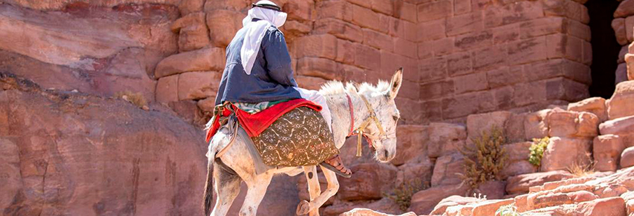 https://mkt.visitajordania.com/jordania/public/img-blog/2020/07/5-INT-Jordanos-regresan.jpg