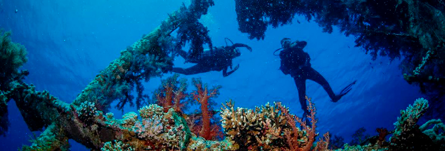 https://mkt.visitajordania.com/jordania/public/img-blog/2021/05/diving-guia-aqaba.jpg