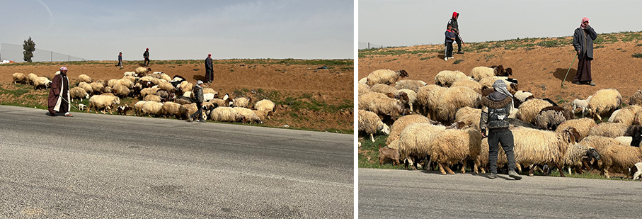 https://mkt.visitajordania.com/jordania/public/img-blog/2023/02/7-comiendo-en-la-carretera-de-jordania.jpg