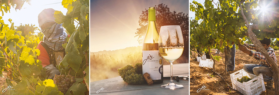 https://mkt.visitajordania.com/jordania/public/img-blog/2023/06/1-jr-wines.jpg