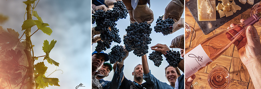 https://mkt.visitajordania.com/jordania/public/img-blog/2023/06/5-jr-wines.jpg
