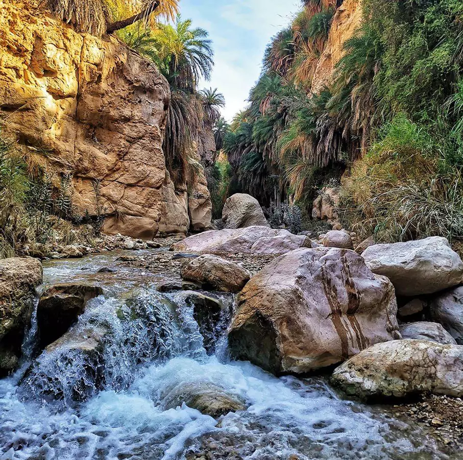 https://mkt.visitajordania.com/jordania/storage/app/public/images/2-wadi-bin-hammad-jordania.webp