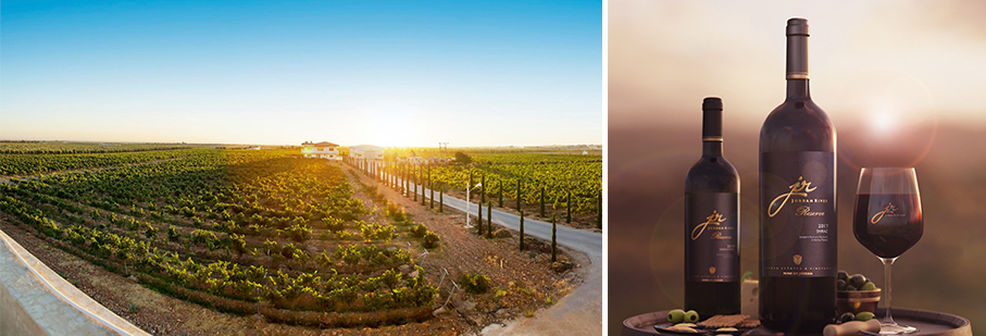 https://mkt.visitajordania.com/jordania/storage/app/public/images/64d68d9ff30e3_portada-jr-wines.jpg