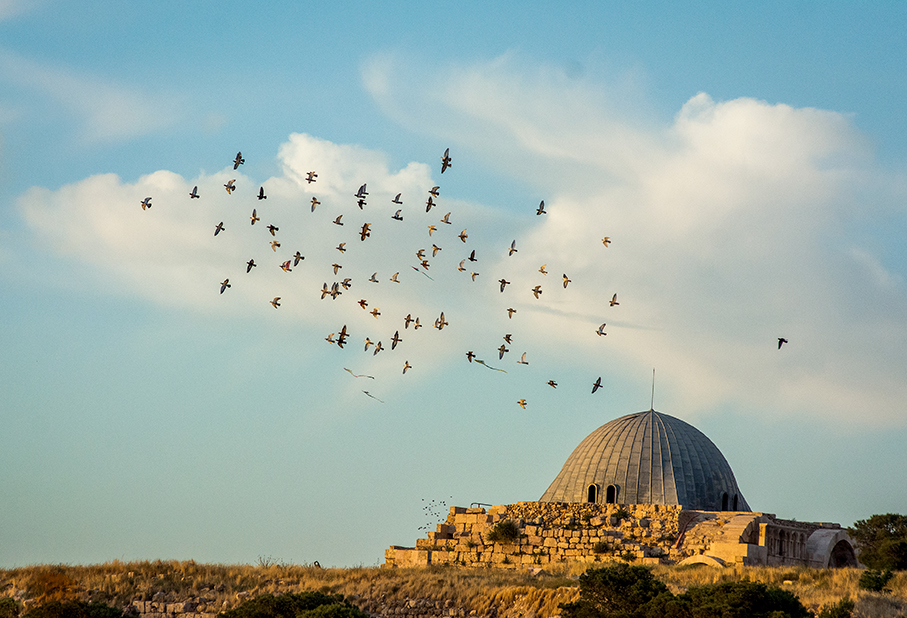 https://mkt.visitajordania.com/jordania/storage/app/public/images/64dd3b4c345b7_6-doble-citadel-amman-jordania.jpg