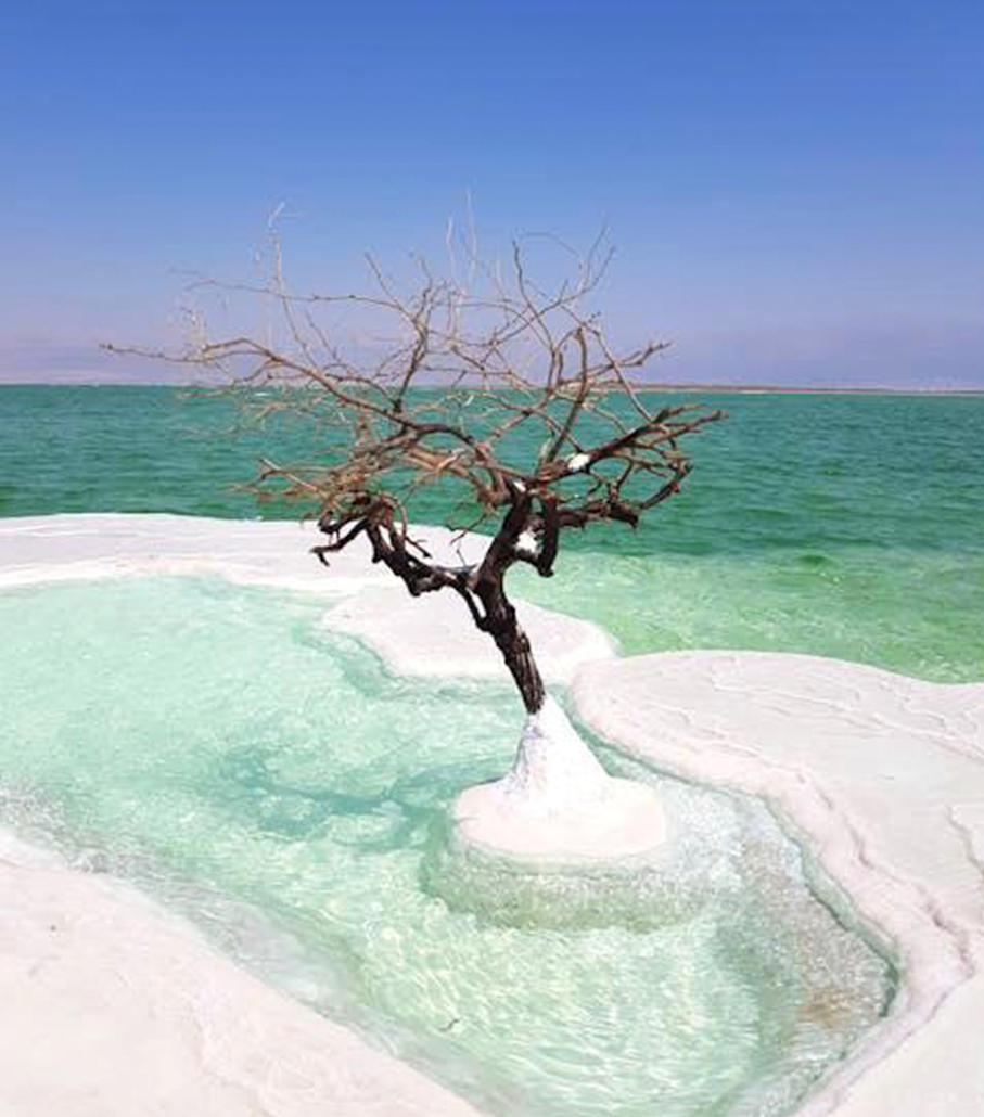 https://mkt.visitajordania.com/jordania/storage/app/public/images/_67f85fcef19f5.jpg