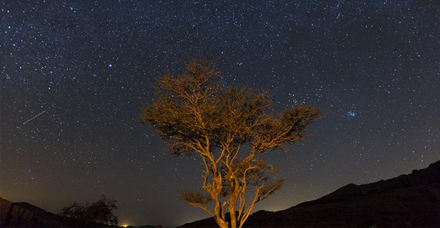 https://mkt.visitajordania.com/jordania/storage/app/public/images/_684c8f86977f3.jpg